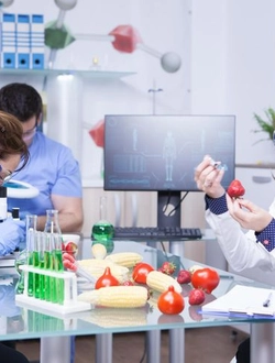 Scientific researcher at work